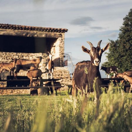 Le Domaine Du Castellas Sivergues エクステリア 写真