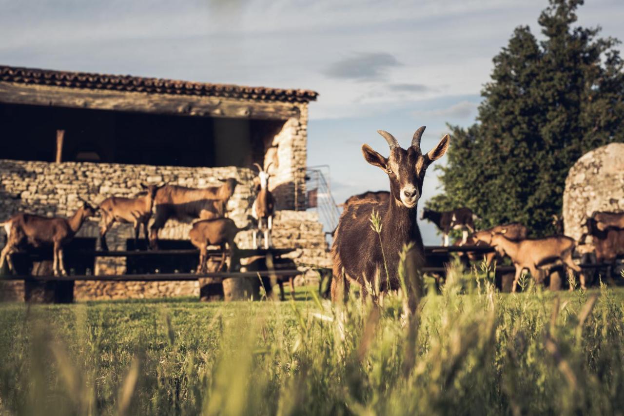 Le Domaine Du Castellas Sivergues エクステリア 写真